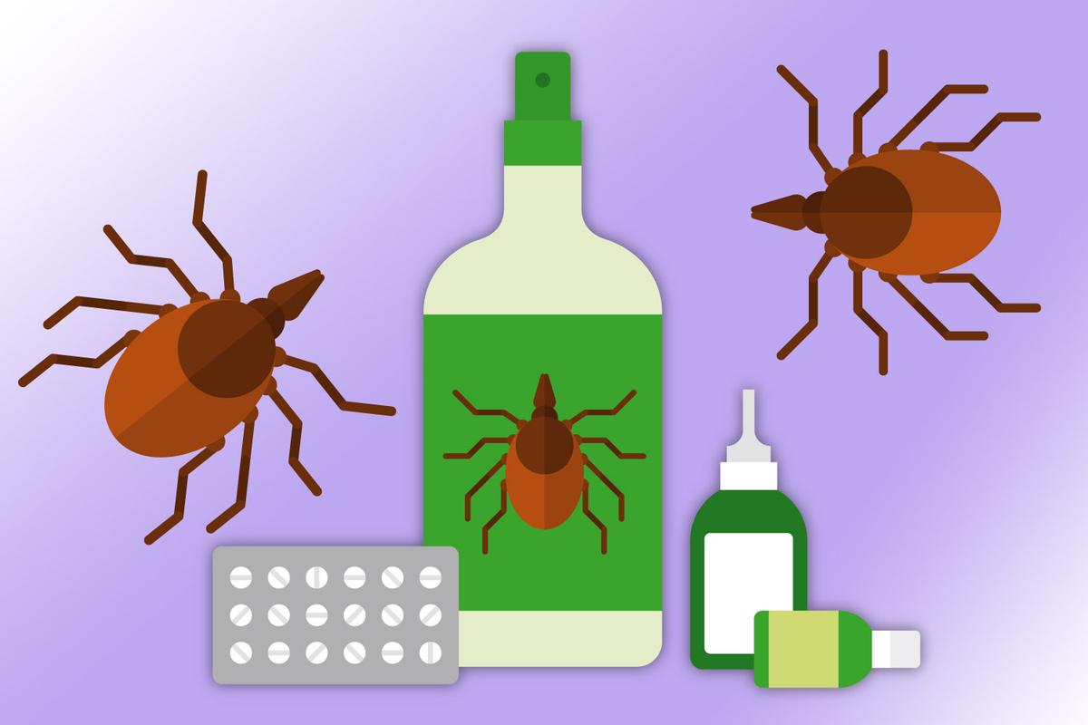 Illustration von Zecken, Zeckenmitteln und Tabletten