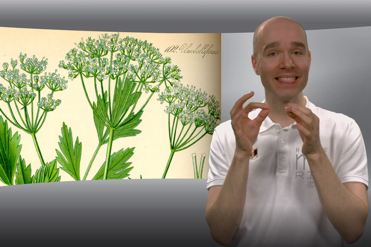 Sreco Dolanc während des Drehs zur ÖGS-Videoserie "Das Heilpflanzen-ABC"