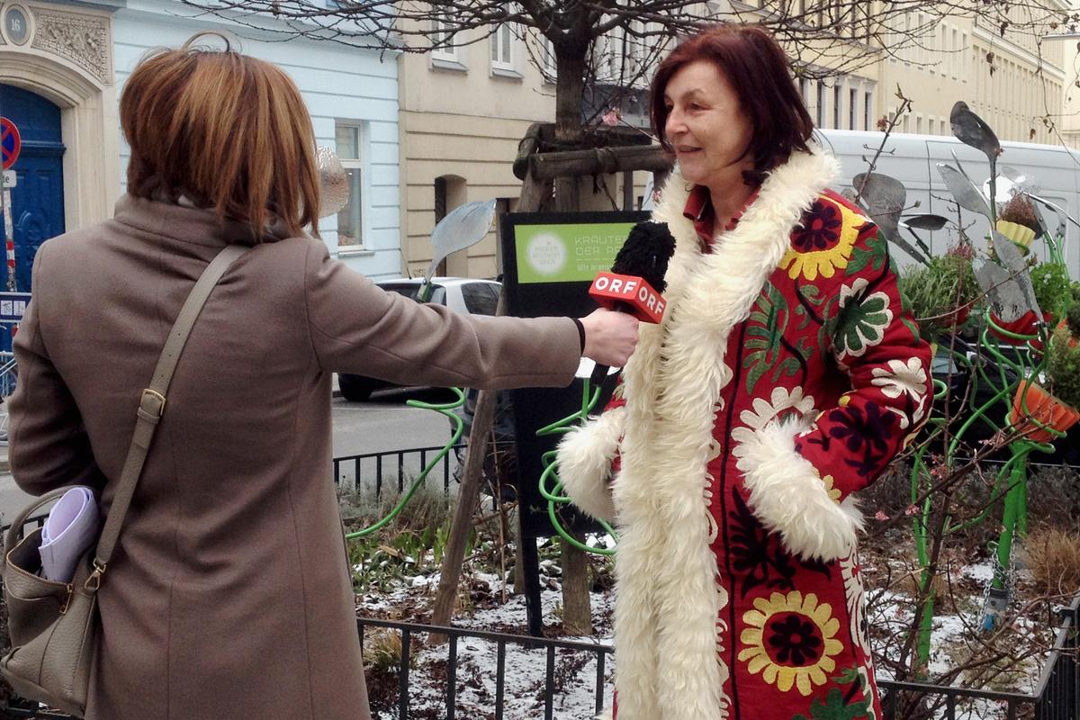 Interview ORF Karin Simonitsch zum Thema Baumscheibenpflege