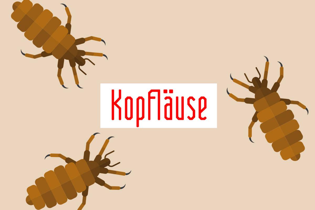Illustration von Kopfläusen
