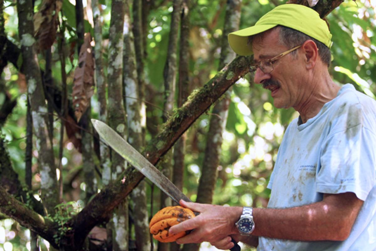 Johannes Wagenknecht von kanwan auf seiner Kakaoplantage in Ecuador