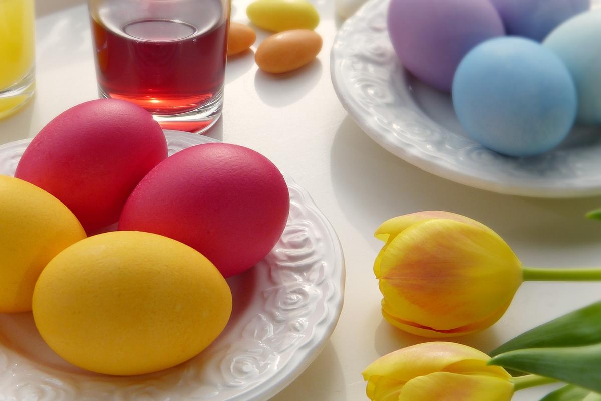 Natürlich gefärbte Ostereier in gelb, rot, lila und hellblau mit gelben Tulpen, die daneben liegen